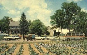 Amish Farm & House - Lancaster, Pennsylvania PA Postcard