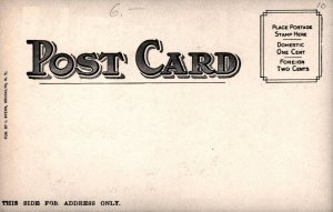 Bridgeport Connecticut  Fairfield County Sea Side Park Postcard   c1907