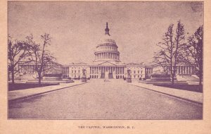 Vintage Postcard 1909 View of The US State Capitol Building Washington D.C.