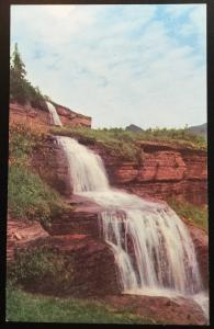 Postcard Unused Hanging Gardens Logan Pass MT LB