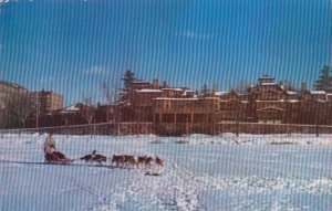 Winter Sports Dog Team On Mirror Lake Lake Placid Club Lake Placid New York