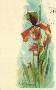 1909 Klein Artist Floral Postcard artist impression 21-10827