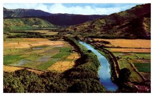 Aerial View Hanalei Valley and picturesque rice paddies on Kauai Hawaii Postcard