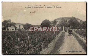 Old Postcard Environs de Blaye Common St -Paul Domaine de Terre Blanche Owner...