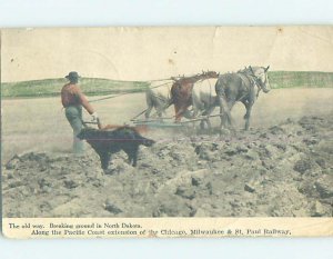 Divided-back HORSES PLOW ON NORTH DAKOTA FARM State Of North Dakota ND AD7548