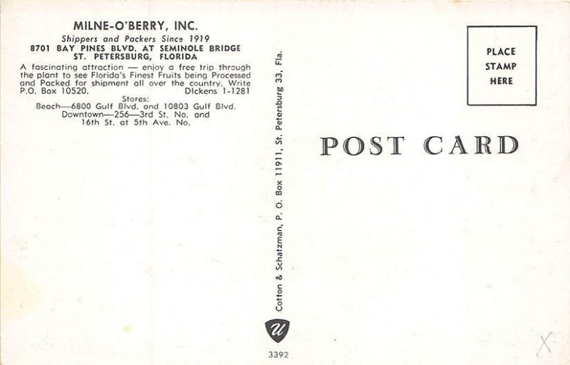 St Petersburg FL Milne-O' Berry Citrus Packing Drive-in Ford Car Postcard