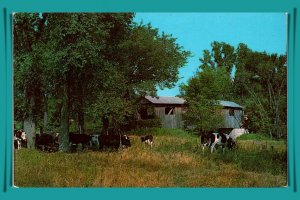 Vermont, North Ferrisburg - Old Covered Bridge - [VT-189]