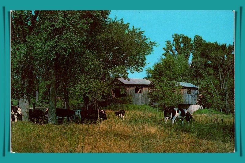 Vermont, North Ferrisburg - Old Covered Bridge - [VT-189]