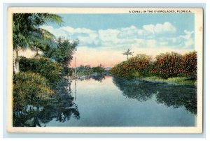 1919 A Canal In the Everglades Florida FL Posted Antique Postcard