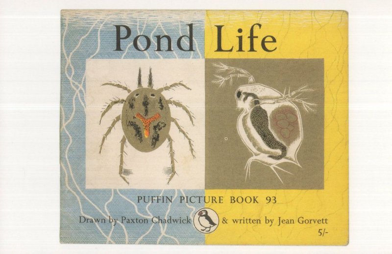 Pond Life 1964 Puffin Picture Book Postcard