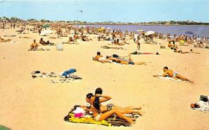 Hampton Beach New Hampshire~Sunbathers @ Sandy Beach~Bathing Beauty~60s Postcard