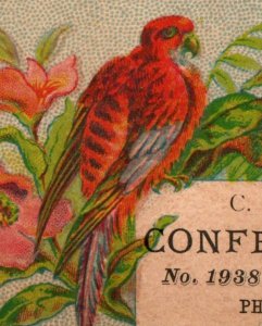 1880s C.A. Mason Confectionery Candy Maker Red Parrot P112