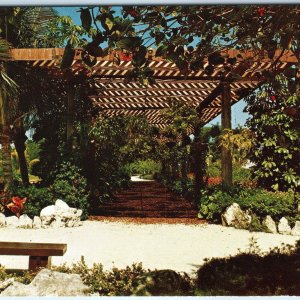 c1960s Freeport, Bahamas Bower Hanging Plants Garden of Groves Chrome PC A304