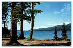 c1950's Scenic View Seeley Lake Near Missoula Montana MT Vintage Postcard