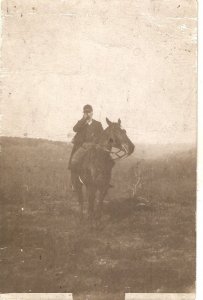 Knight on his horseOld vintage French photo postcard