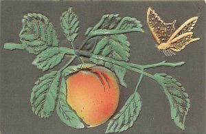 Fruit View Postcard Backing 