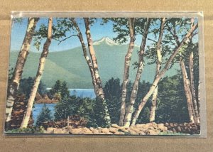 UNUSED POSTCARD - MT. CHOCORUA AND LAKE, WHITE MOUNTAINS, N.H.