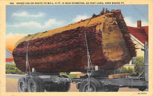 Giant Log En Route to Mill 1943 Missing Stamp tab marks on corners from being...