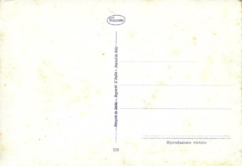 A comic cat Modern Italian photo postcard 1970s