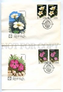 280234 USSR 1977 year set of FDC Pikunov Flora flowers