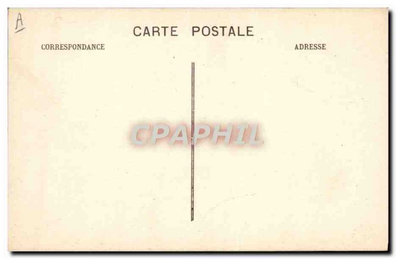 Old Postcard Horse Equestrian