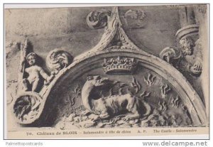 Salamandre a Tete de Chien, Chateau de Blois, Blois France 1900-1910s