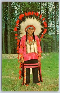 Native Americana~Oglala Sioux~Chief Big Cloud~Vintage Postcard