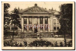 Old Postcard Nantes Museum D & # Natural 39Histoire