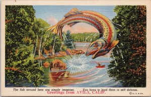 Greetings from Avila CA Exaggerated Huge Fish Self Defence Linen Postcard H21