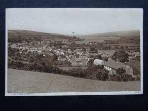 Wales Cardigan ST. DOGMAELS Panoramic Village View c1950's Postcard