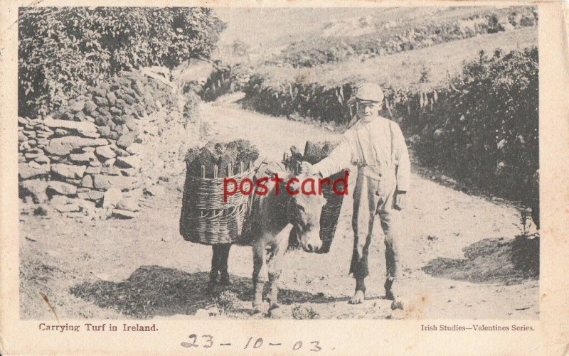 1923 IRELAND Carrying Turf barefoot boy and donkey