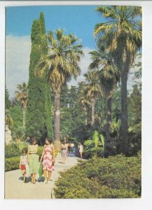 479422 USSR 1981 Sochi corner arboretum photo Panov publishing house Planeta