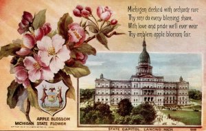 MI - State Flower & Capitol. Apple Blossom & Lansing