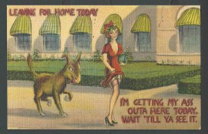 Ca 1938 PPC* Humor Leaving For Home Today Woman W/Jackass Mint