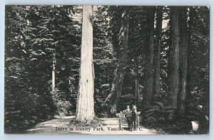 Vancouver British Columbia Canada Postcard Drive In Stanley Park 1906 Antique