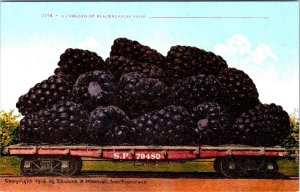 3~ca1910's Mitchell Exaggeration Postcards LEMON~CABBAGE~BLACKBERRIES Train Cars