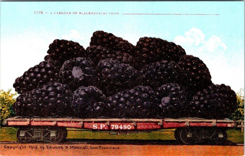 3~ca1910's Mitchell Exaggeration Postcards LEMON~CABBAGE~BLACKBERRIES Train Cars