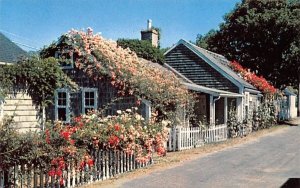 Typical rose-covered cottages in Nantucket, Massachusetts