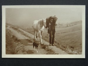 Cumbria Country Life SHEEP SHEPHERD A LAKELAND DALESMAN (2) c1920s RP Postcard