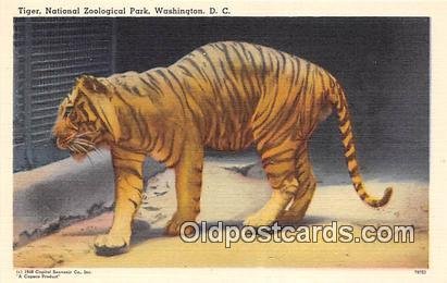 Washington DC, USA Tiger, National Zoological Park Unused 