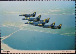 Blue Angels over Pensacola FL