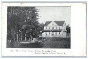 Pine Grove Farm House Roman Tschenda Prop Beaver Brook Sullivan Co. NY Postcard