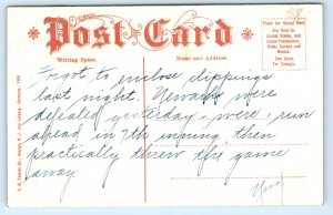 Newark NJ New Jersey Golf Course Forest Hill Postcard