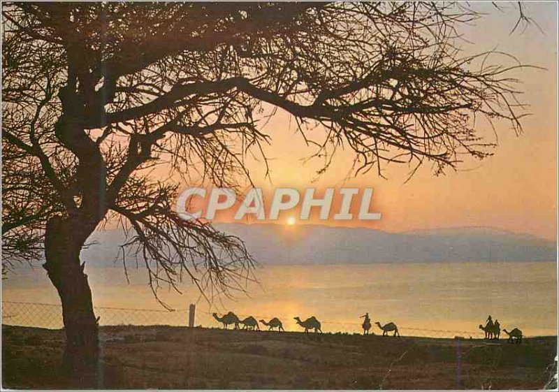 Modern Postcard Ein Gedi Sunrise on the Dead Sea