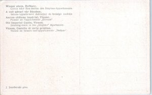 1910s Old Imperial Castle Vienna Austria Postcard