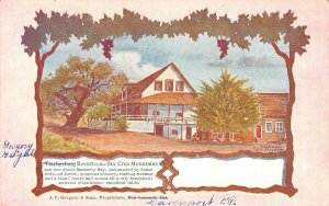 TISCHERBERG RESORT Santa Cruz Ben Lomond Gregory Heights c1910s Vintage Postcard