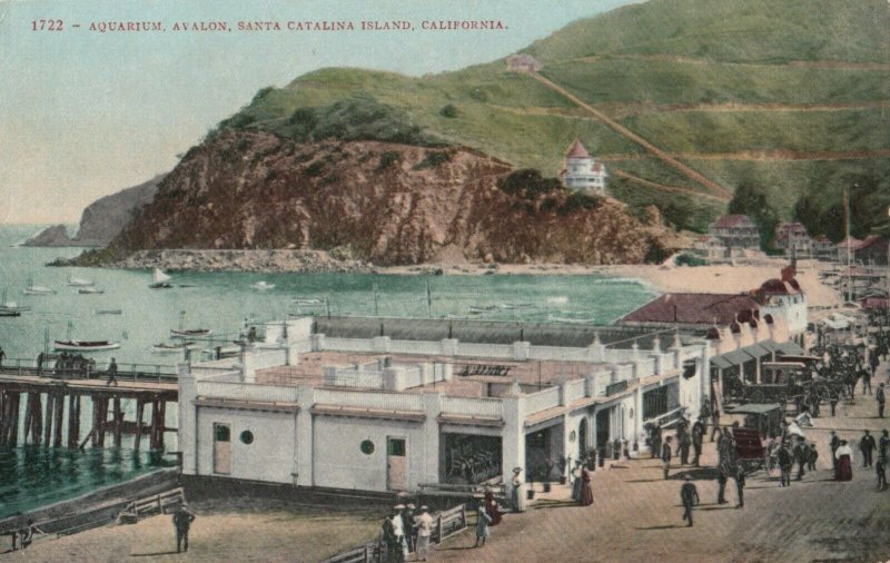 SANTA CATALINA ISLAND , California, 1900-10s ; Aquarium
