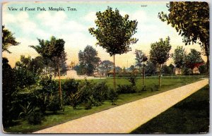 Forest Park View Memphis Tennesee TN Roadway & Grounds Trees Landmarks Postcard