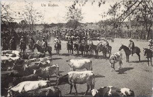 Chile Un Rodeo Cattle Hume y Ca Ahumada #357 Postcard H26