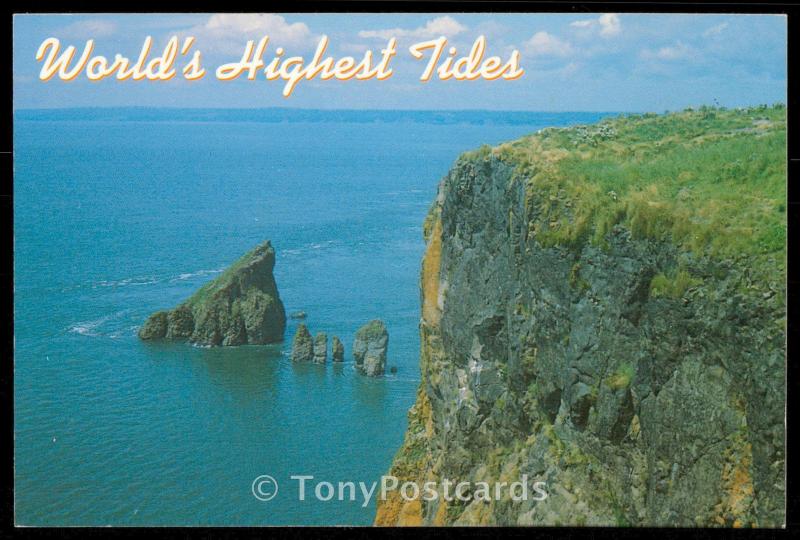 World's Highest Tides